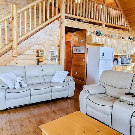 Lazy Bear Lodge 塞维尔维尔 外观 照片